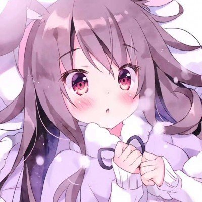 伊朗外长向巴基斯坦递交停战条件
